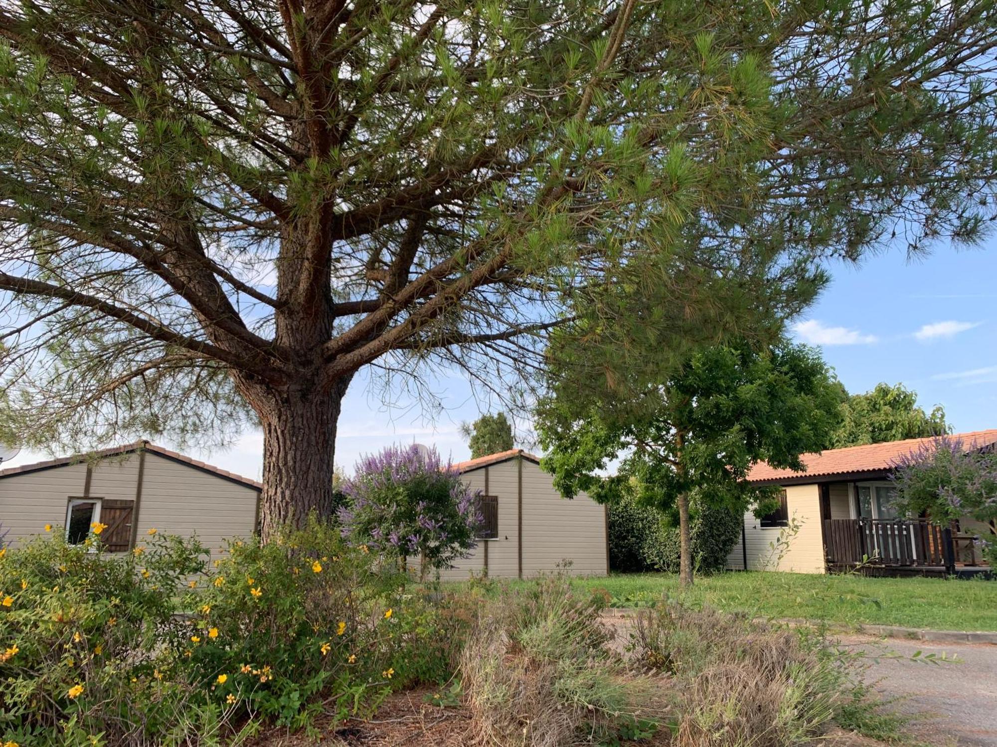 法兰西泰尔阿莫德拉克假日公园 Monclar-de-Quercy 外观 照片